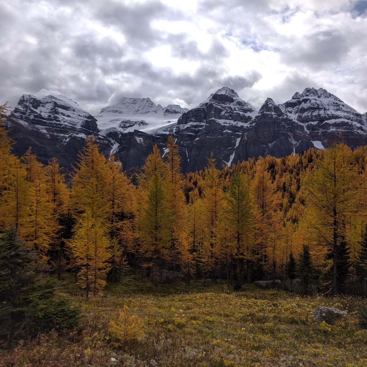 2019-09-20 | Larch&nbsp;Valley