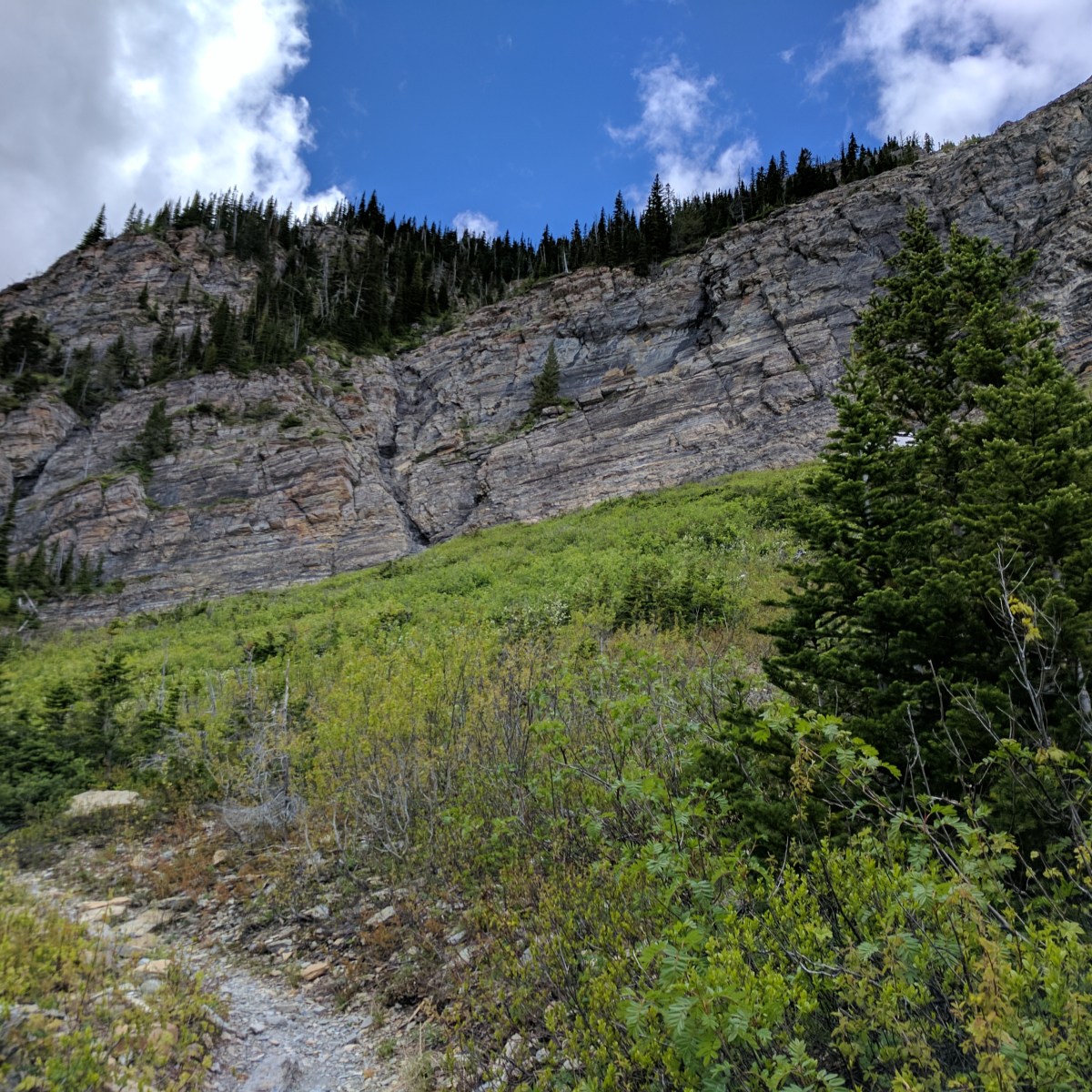 2017-06-19 | Lower Rowe&nbsp;Lake