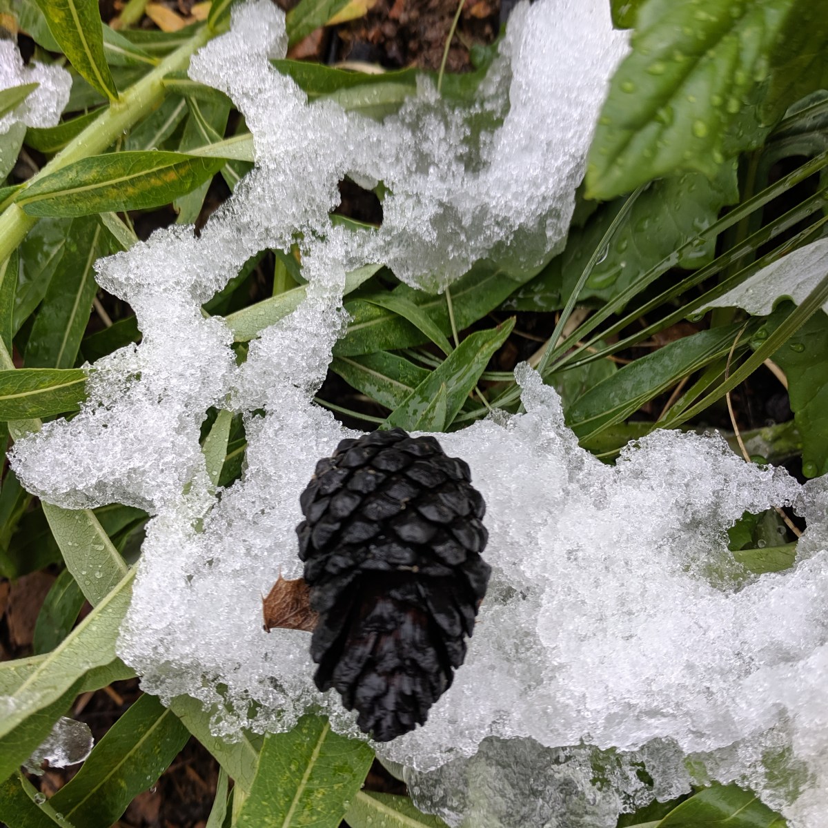 2019-06-08 | Bertha&nbsp;Falls