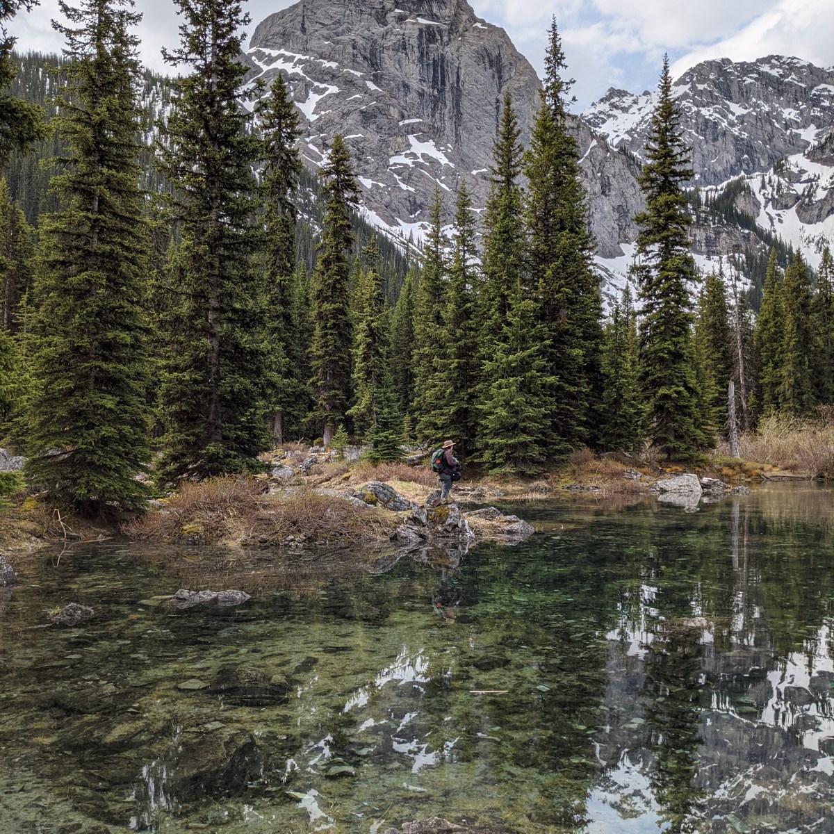 2020-06-12 | Mount Black&nbsp;Prince