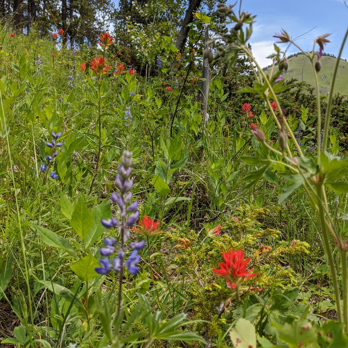 What’s with all the f***ing&nbsp;flowers?